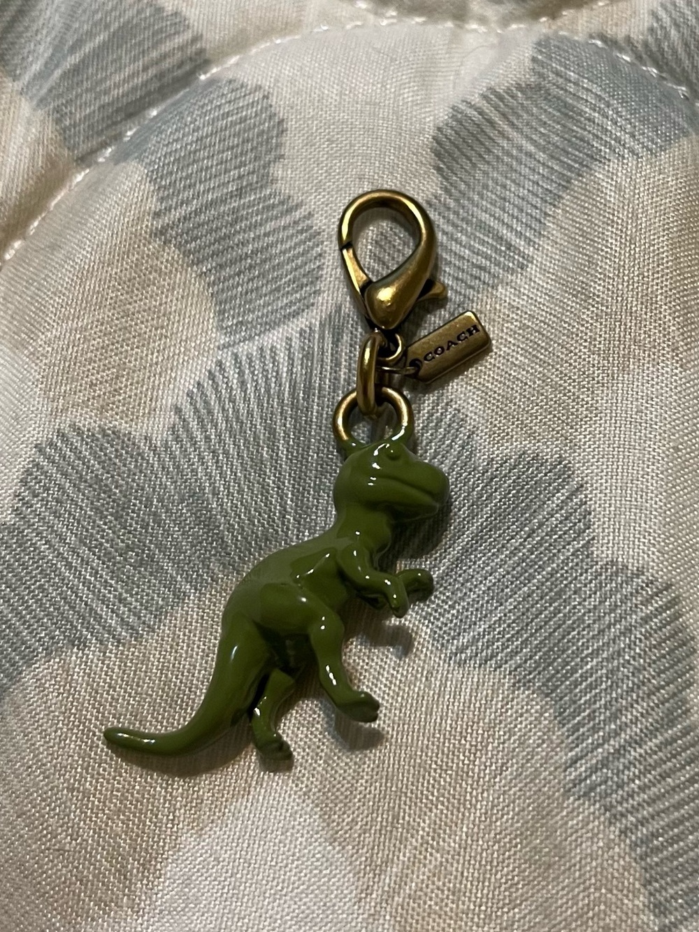 Coach DIY Mini T Rex Charm!